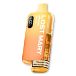 Lost Mary BM6000 Prefilled Pod Kit - Image 14