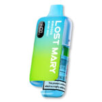 Lost Mary BM6000 Prefilled Pod Kit - Image 16