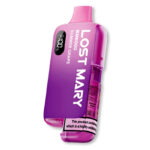 Lost Mary BM6000 Prefilled Pod Kit - Image 25
