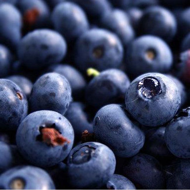 blueberry2_2 Blueberry Eliquid - Image 1